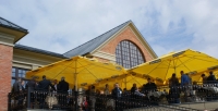 „Linava“ XXVI -asis kongresasvyko Belmonto centre Vilniuje